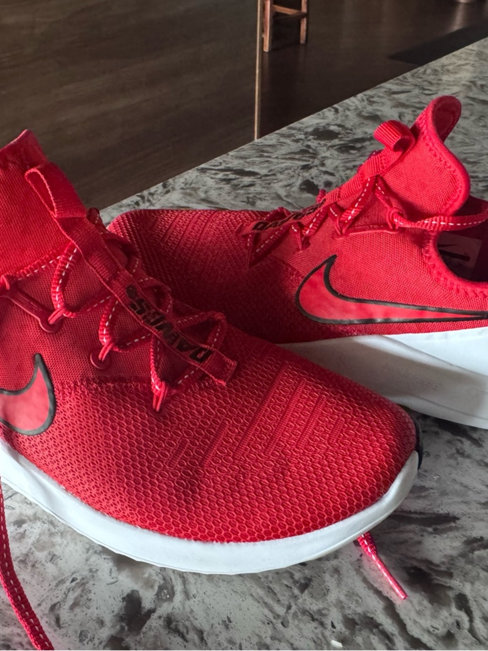 Nike Women's Georgia Bulldogs Free TR